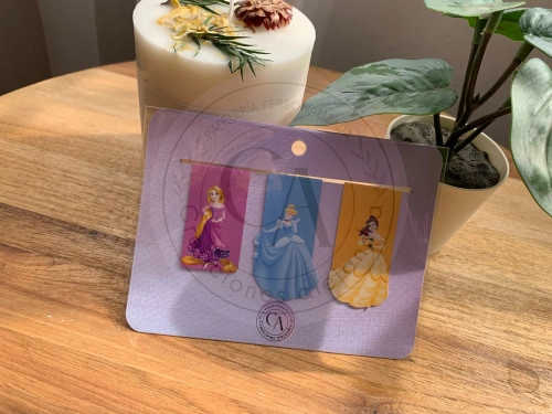 Set de 3 marcapáginas imantados diseño princesas Disney   
